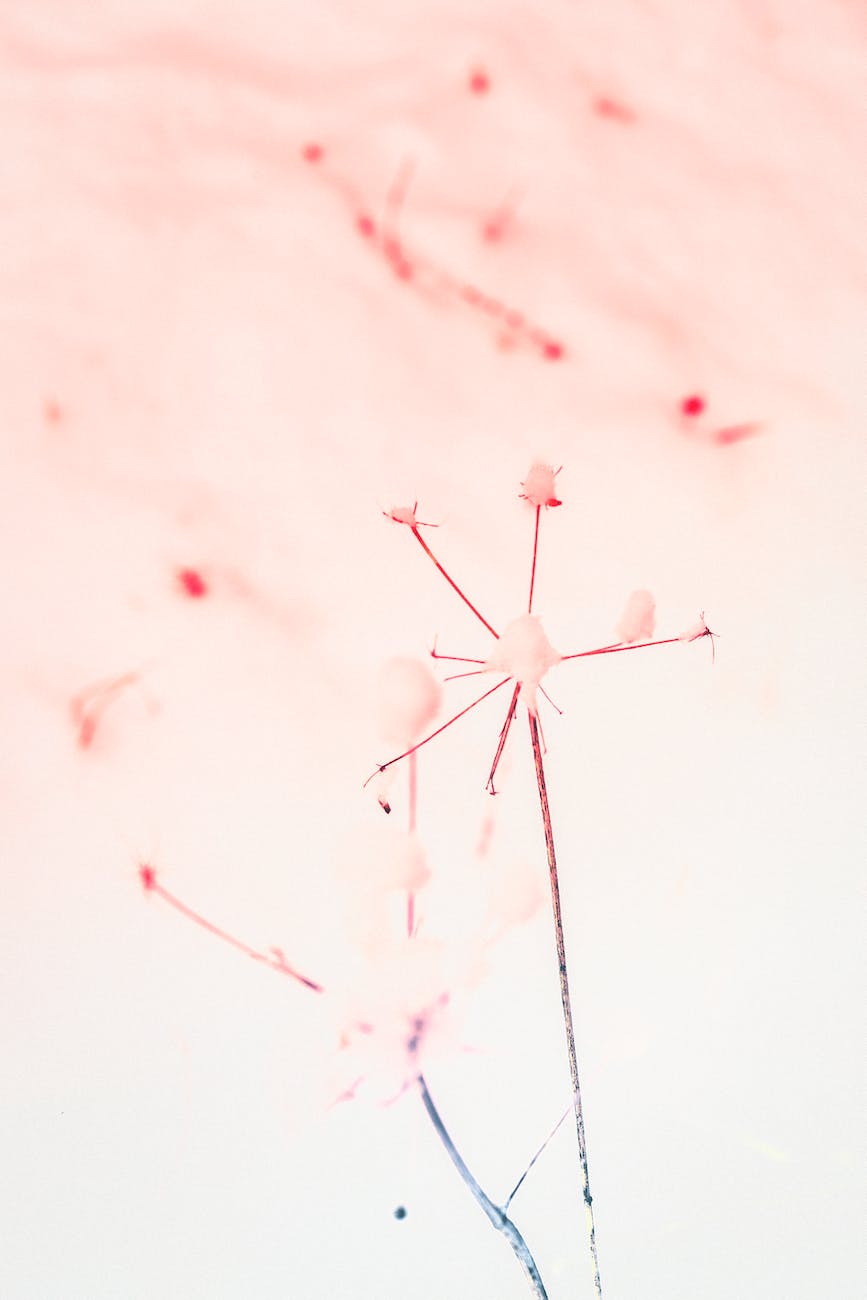 Review: ‘Five Views On Apologetics’ by Steven&nbsp;Cowan